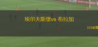 埃爾夫斯堡vs 布拉加(歐聯(lián)杯)