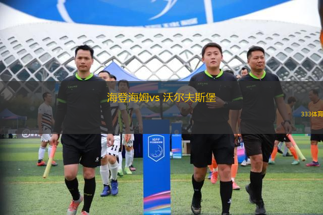 海登海姆vs 沃爾夫斯堡(德甲)