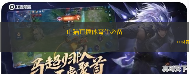 山貓直播體育生必備(山貓?bào)w育直播：運(yùn)動(dòng)迷的必備神器)