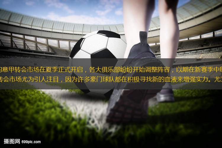 2013/14賽季的意甲轉(zhuǎn)會市場在夏季正式開啟，各大俱樂部紛紛開始調(diào)整陣容，以期在新賽季中取得更好的成績。這個(gè)賽季的轉(zhuǎn)會市場尤為引人注目，因?yàn)樵S多豪門球隊(duì)都在積極尋找新的血液來增強(qiáng)實(shí)力。尤文圖斯、AC