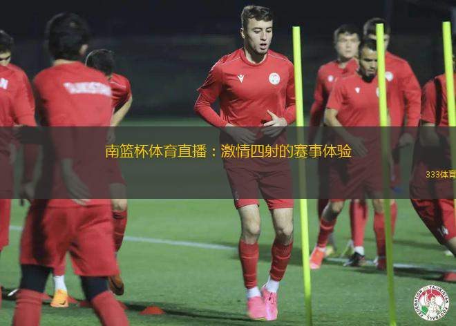 南籃杯體育直播：激情四射的賽事體驗