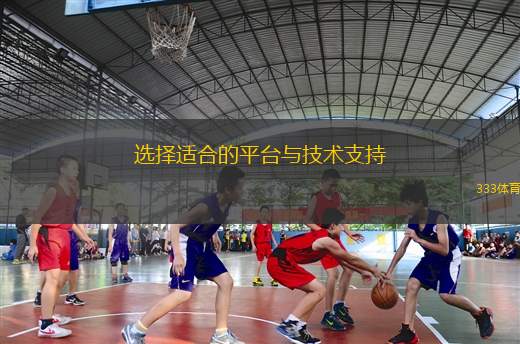 選擇適合的平臺與技術(shù)支持